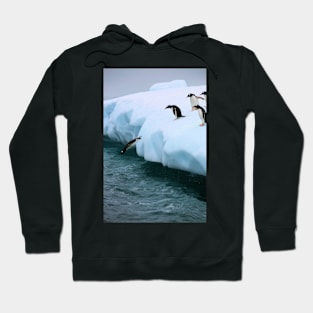 Gentoo penguins going for fishing Hoodie